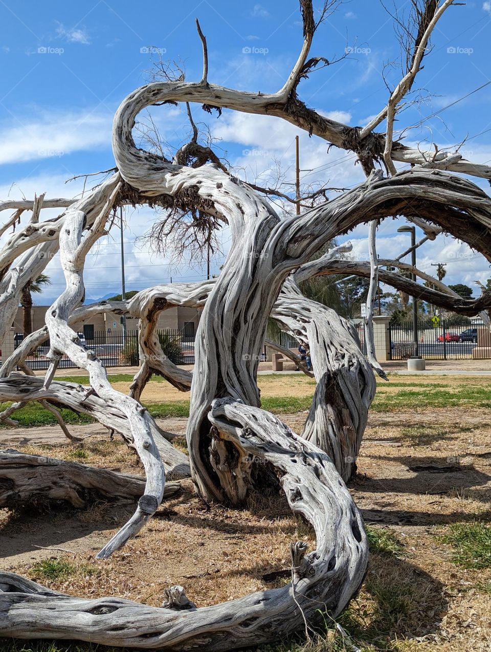 #Curbs of Experience