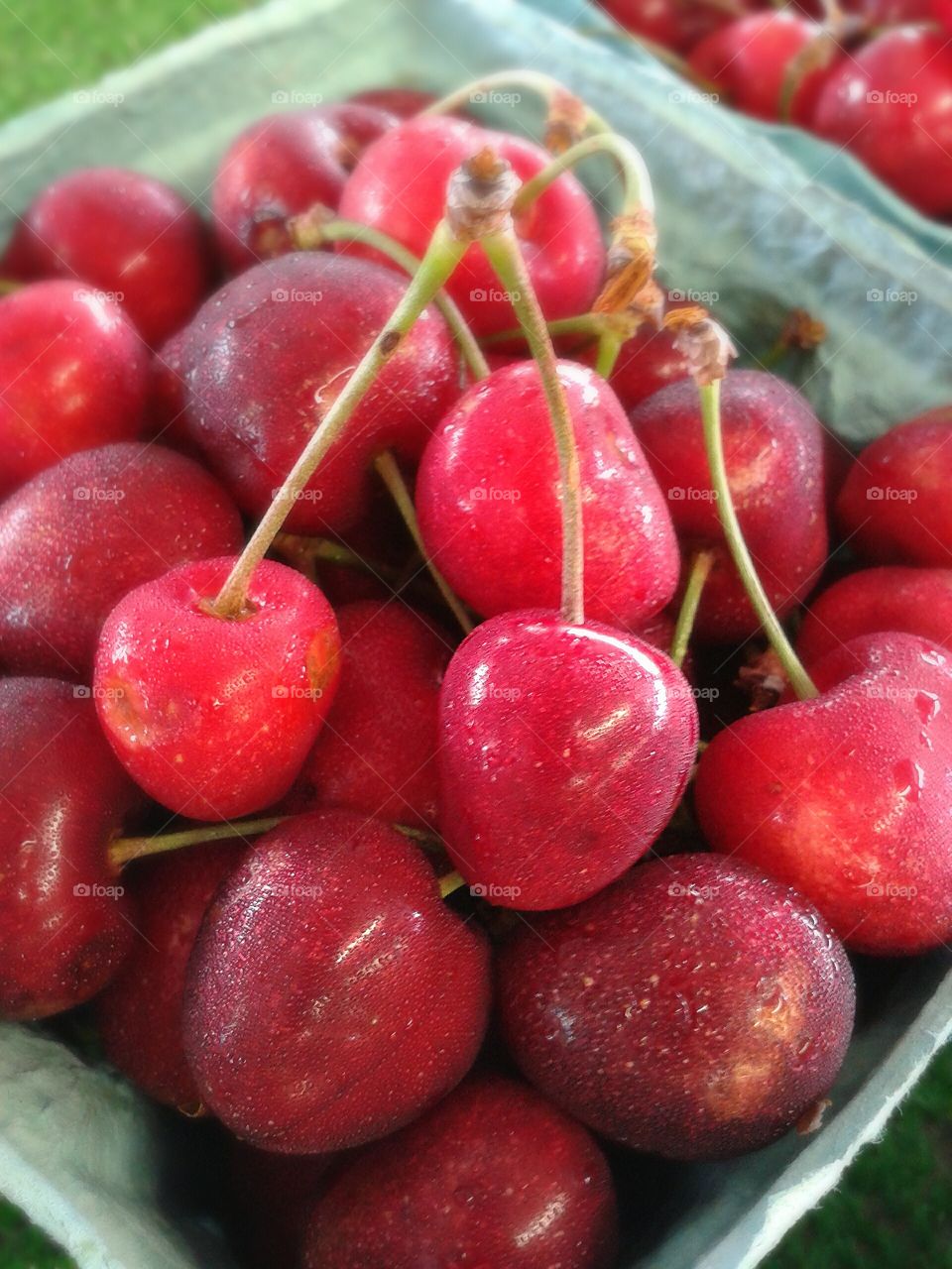 Market cherries. You will not believe how good they are.