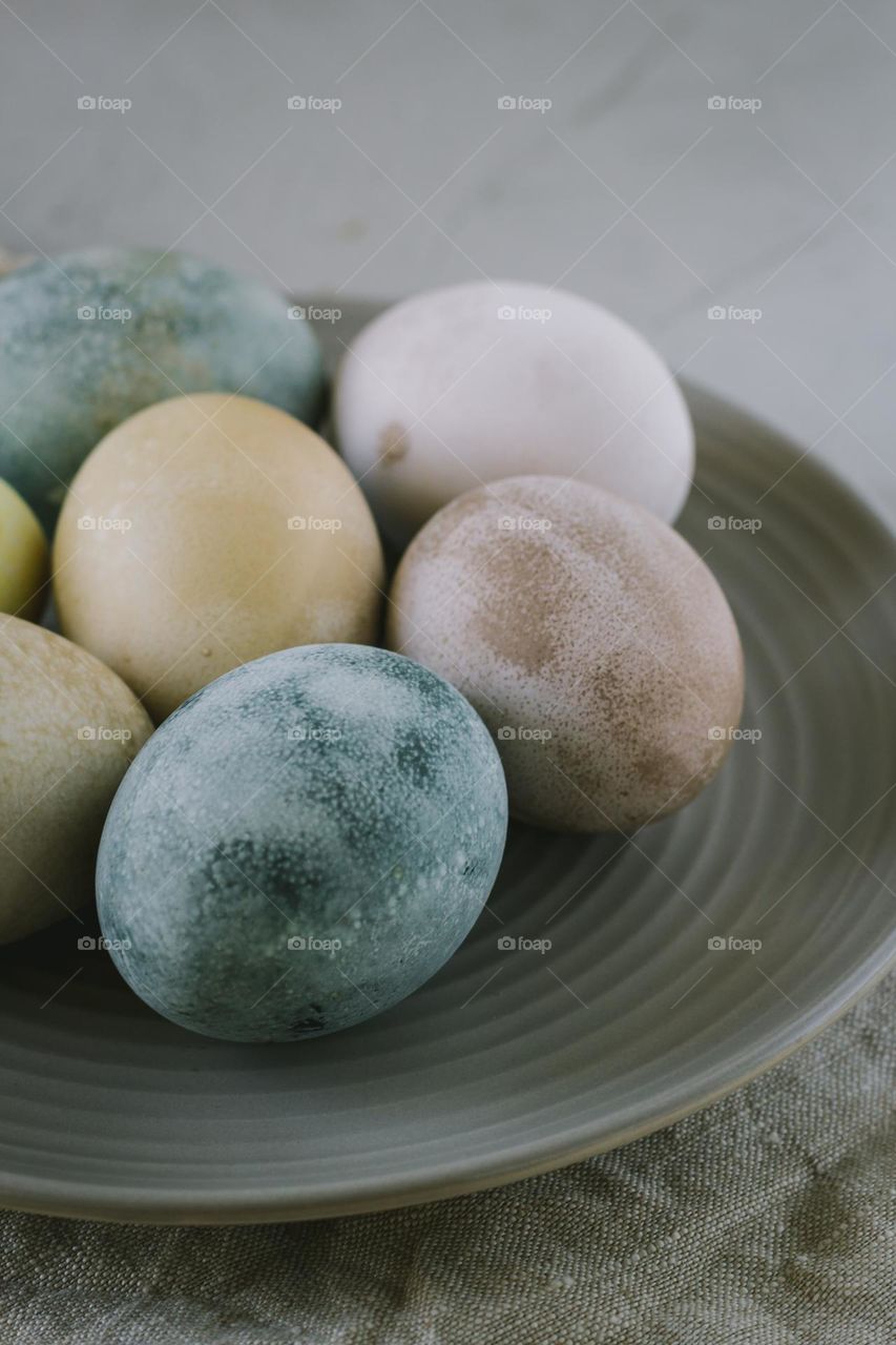 coloured eggs