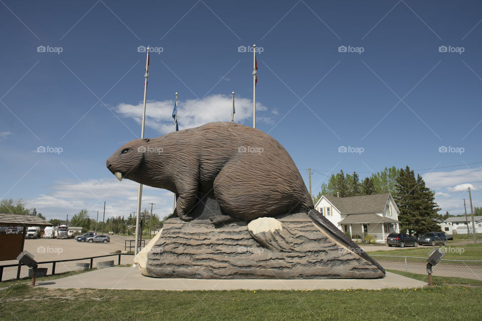 Giant Beaver - Beaverlodge, Alberta