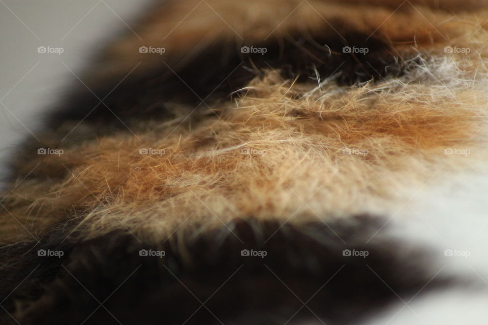 Fur