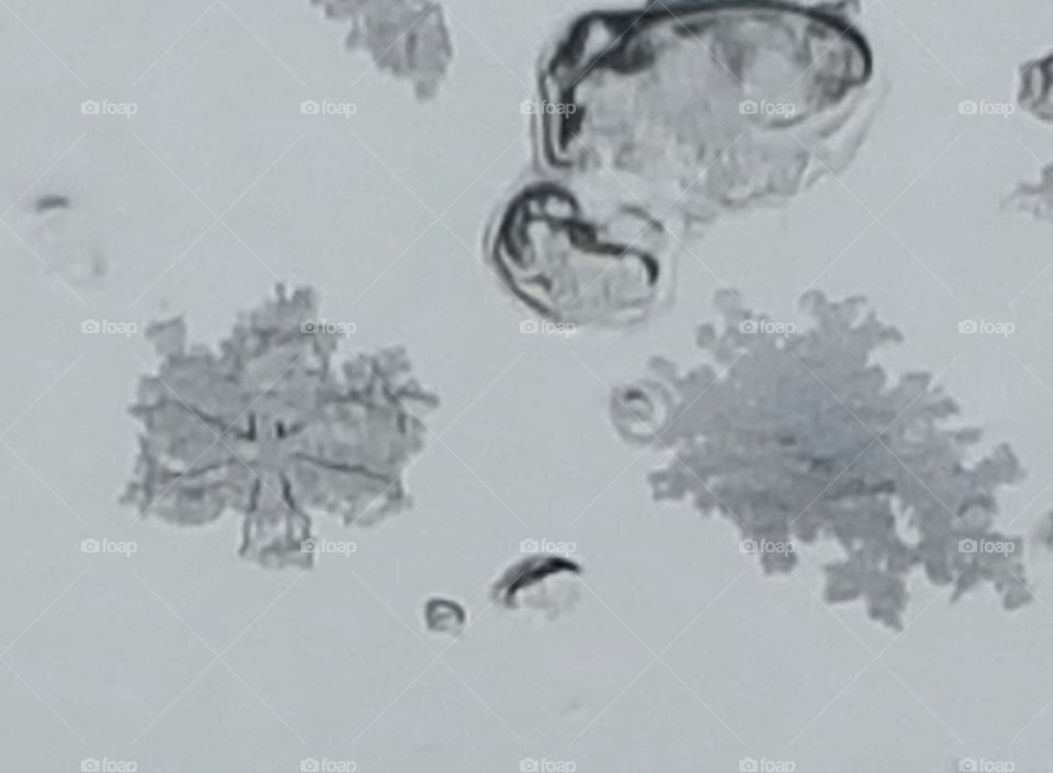 Snowflake closeup