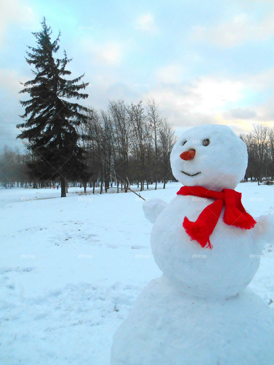 Winter, Snow, Christmas, Frost, Snowman