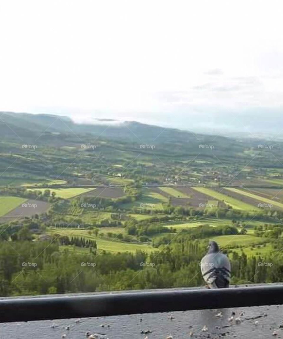 View of Italian countryside 
