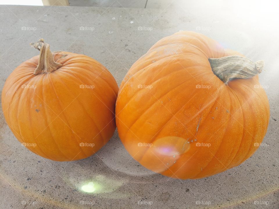 pumpkins