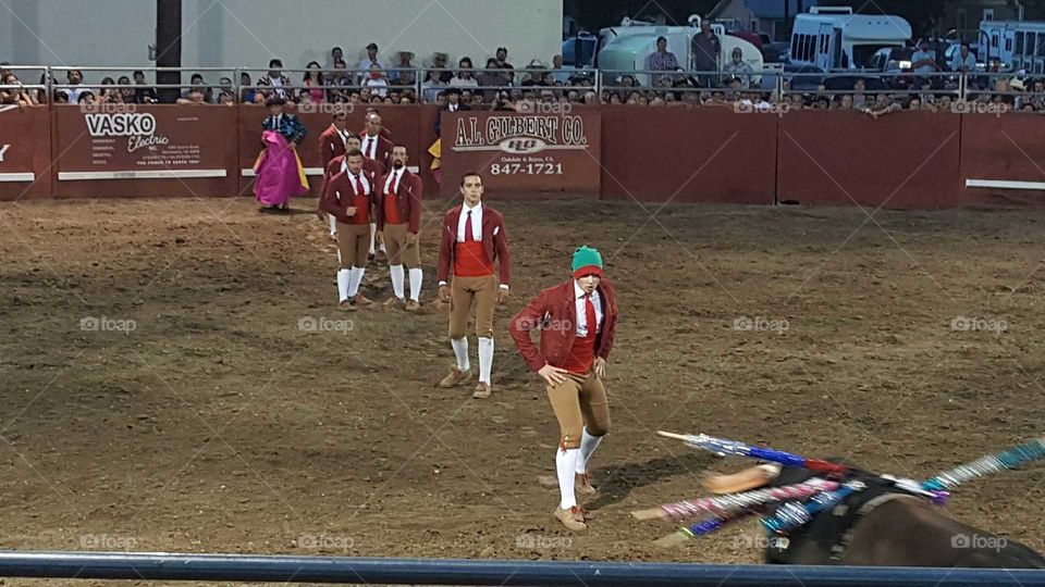 Portuguese bloodless bullfighting