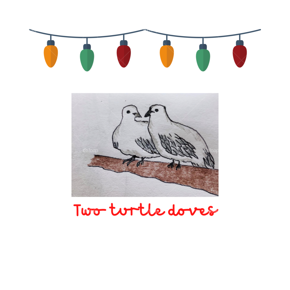 Two Turtle Doves