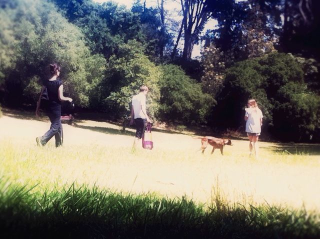 Leisure, People, Lifestyle, Tree, Recreation