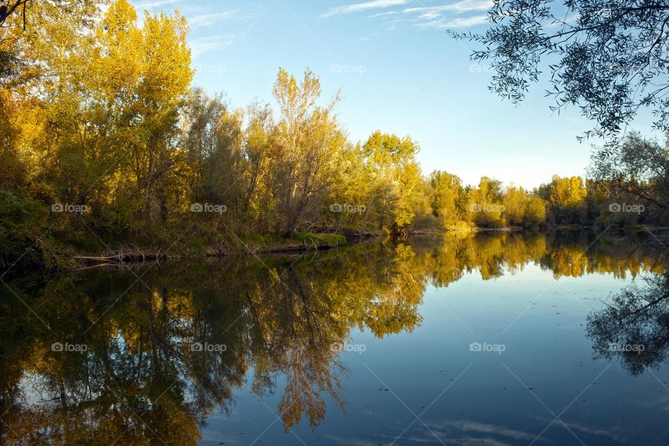 Autumn forest reflected over the lake surface
