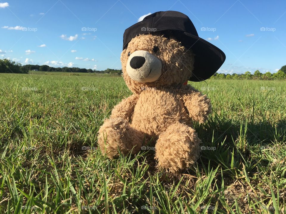 Teddy bear with his hat backwards sitting and a beautiful landscape.