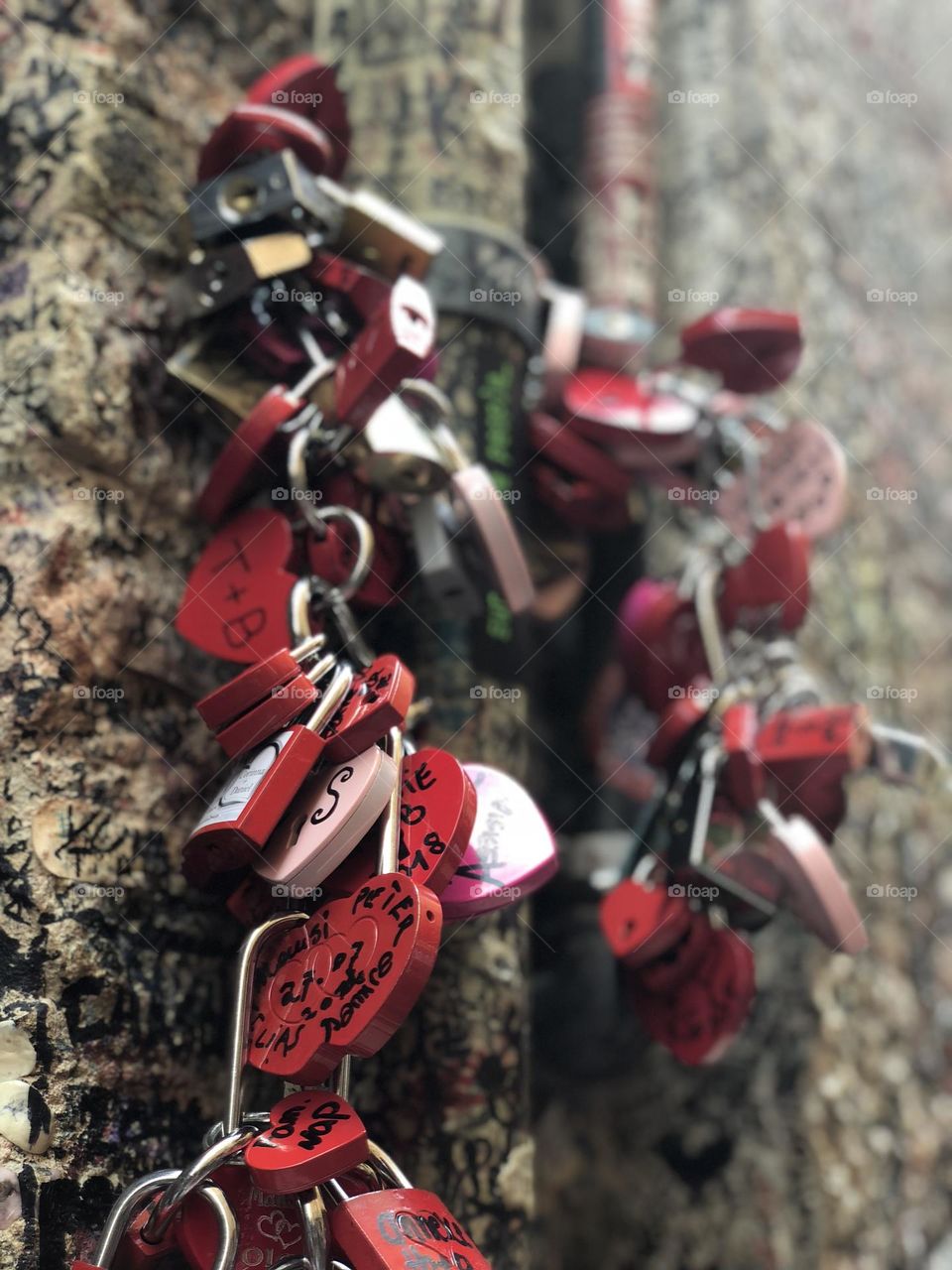 Love locks in Verona 