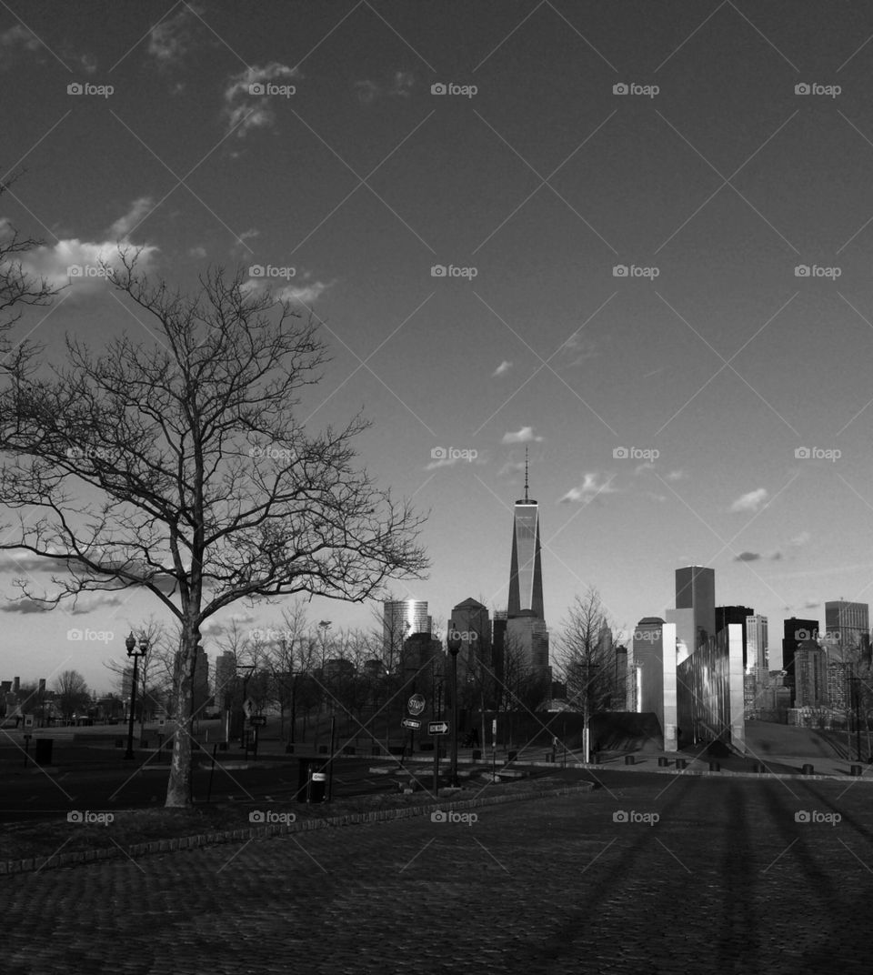 NY Skyline