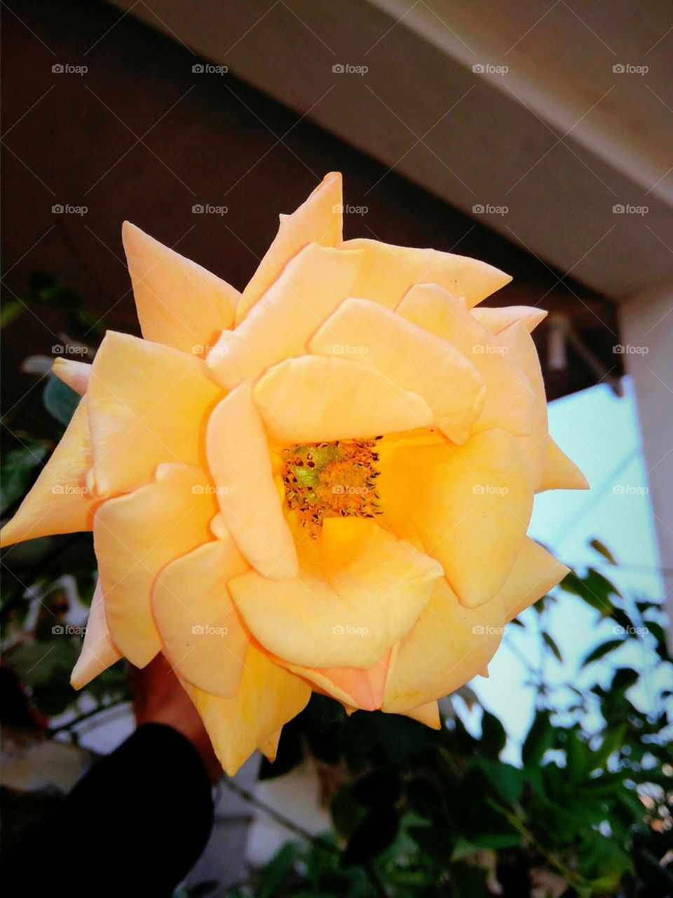 Nature says.. learn to hear