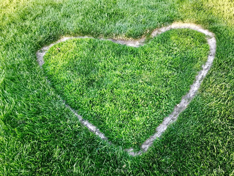 Love the green in the summer 