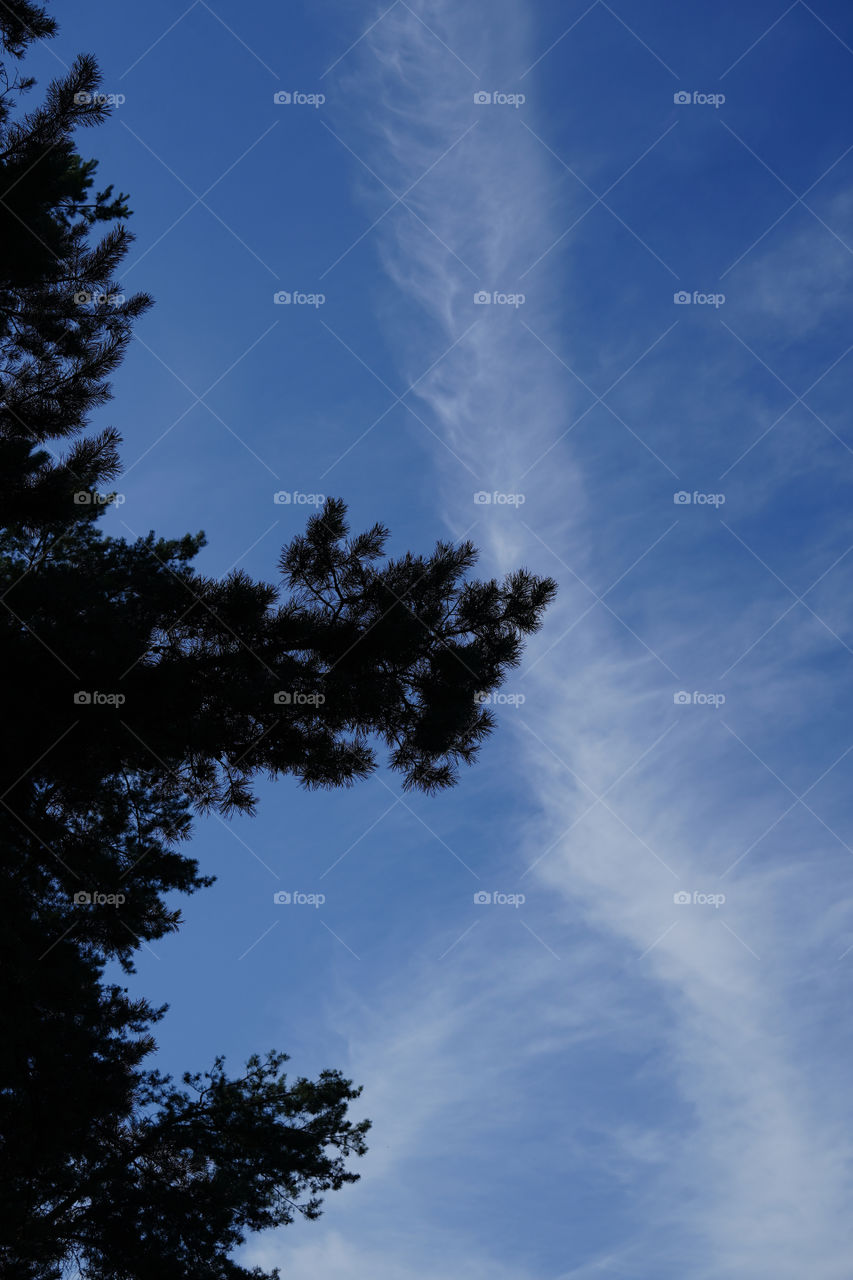 Clouds in a blue sky