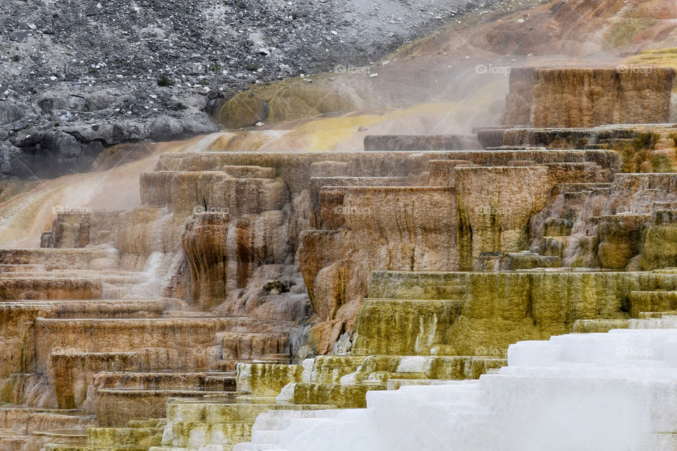 Travertine terraces at Yellowstone National Park. A natural rock formation caused by geothermal vents where Mammoth hot springs flow coming from Norris Geyser basin.