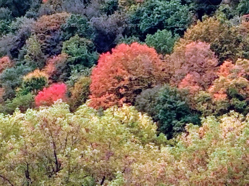 Driving the Back Roads and enjoying everything around us