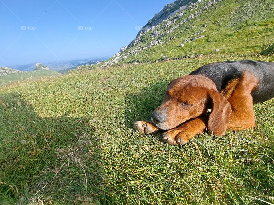 just chill...would you join?