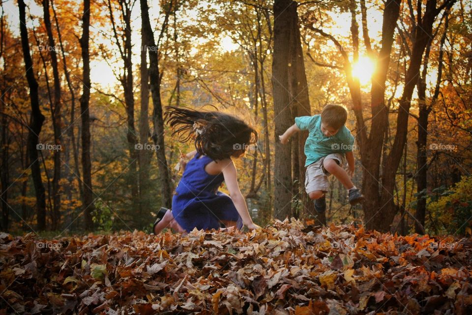 perfect day for jumping in the leaves