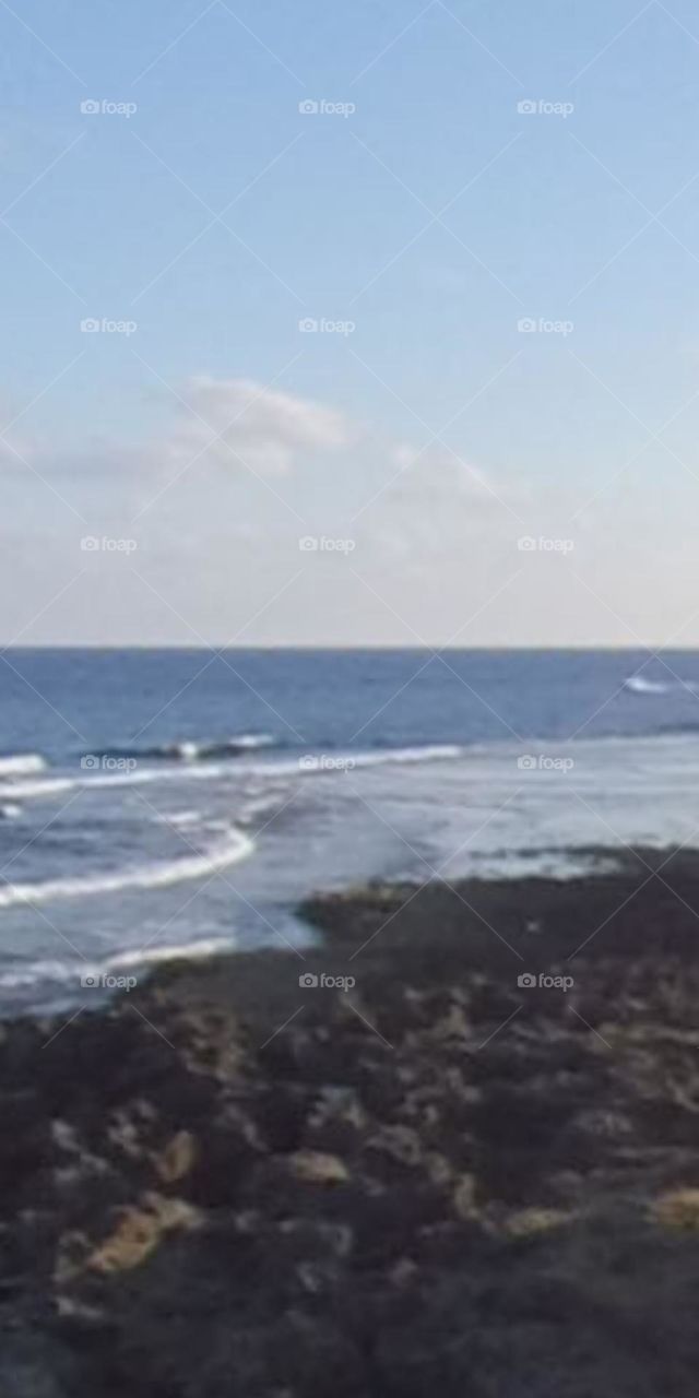 lướt cùng sóng biển.