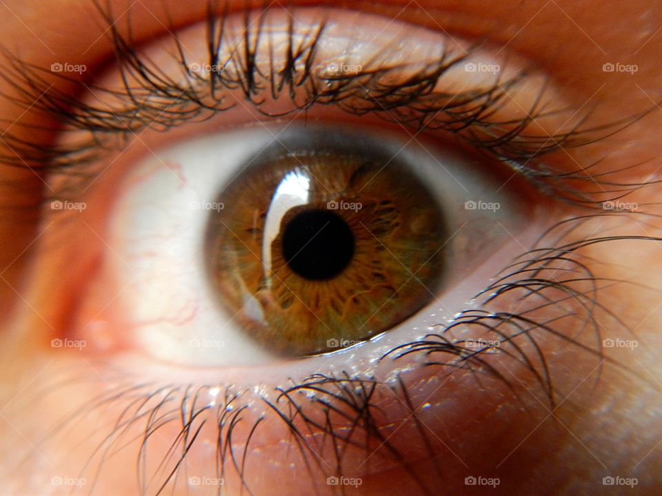 Close-up of brown eyes