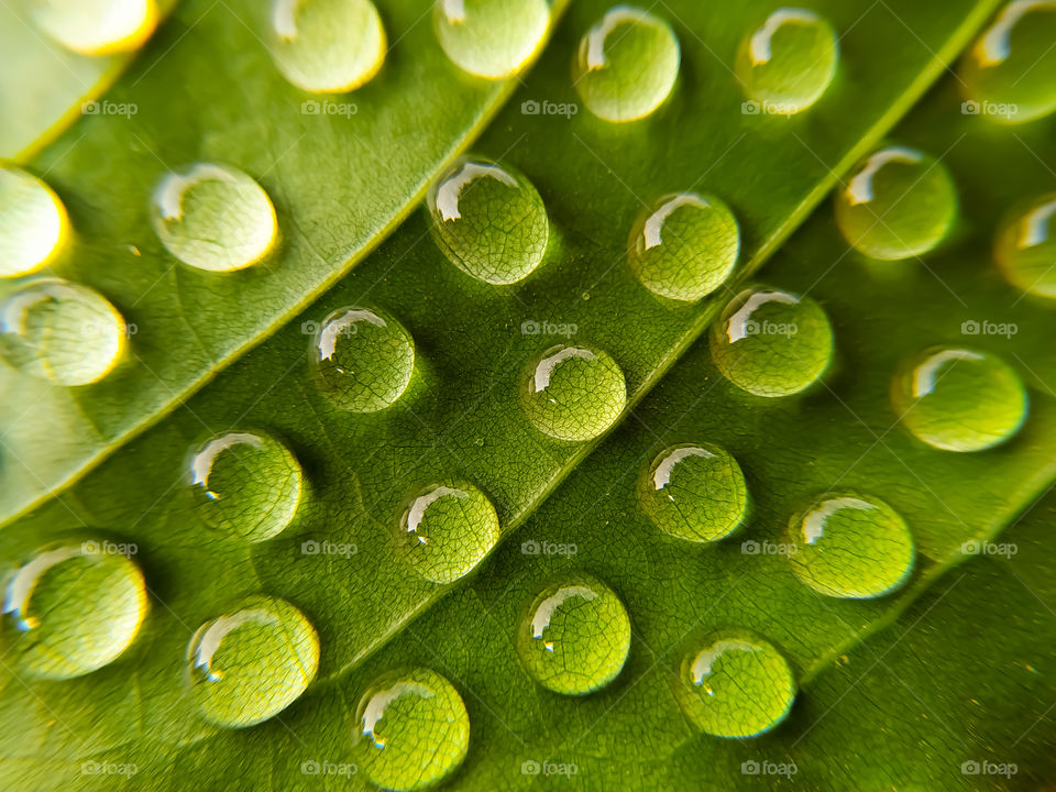 Water drops on bright green
 background