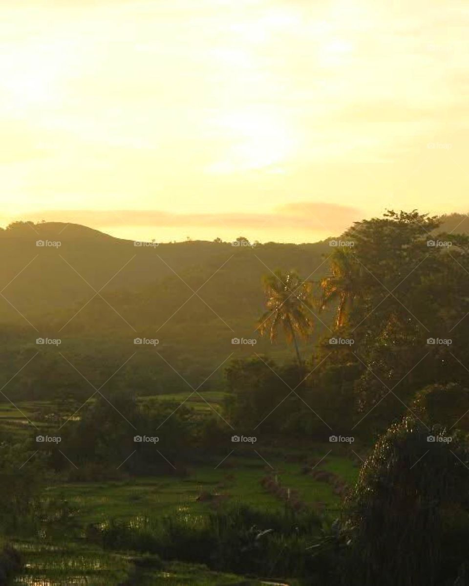 beautiful rice fields and hills