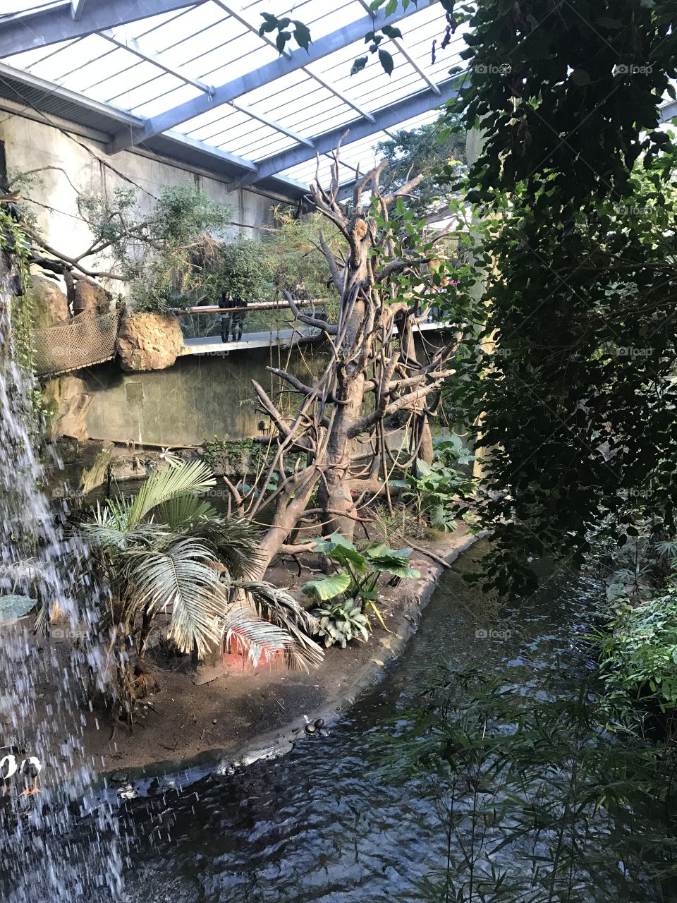 Henry Doorly Zoo and Aquarium in Omaha, Nebraska tropical rainforest exhibit 