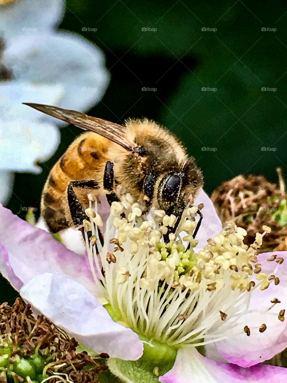 Take Time to Stop and Smell the Flowers 