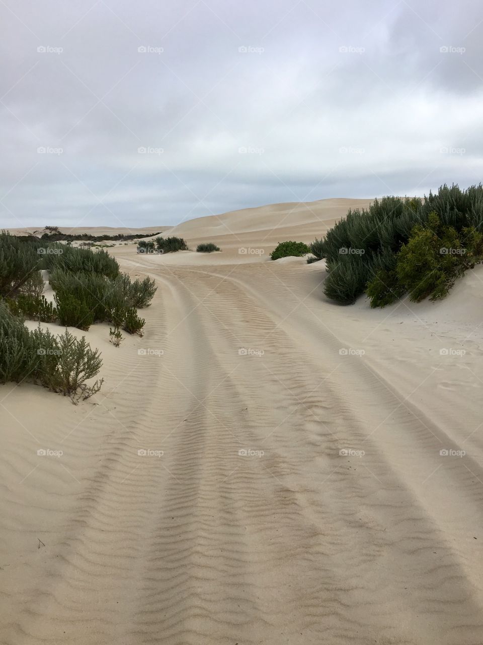 Sand dune trail track in remote area by the sea in south Australia 