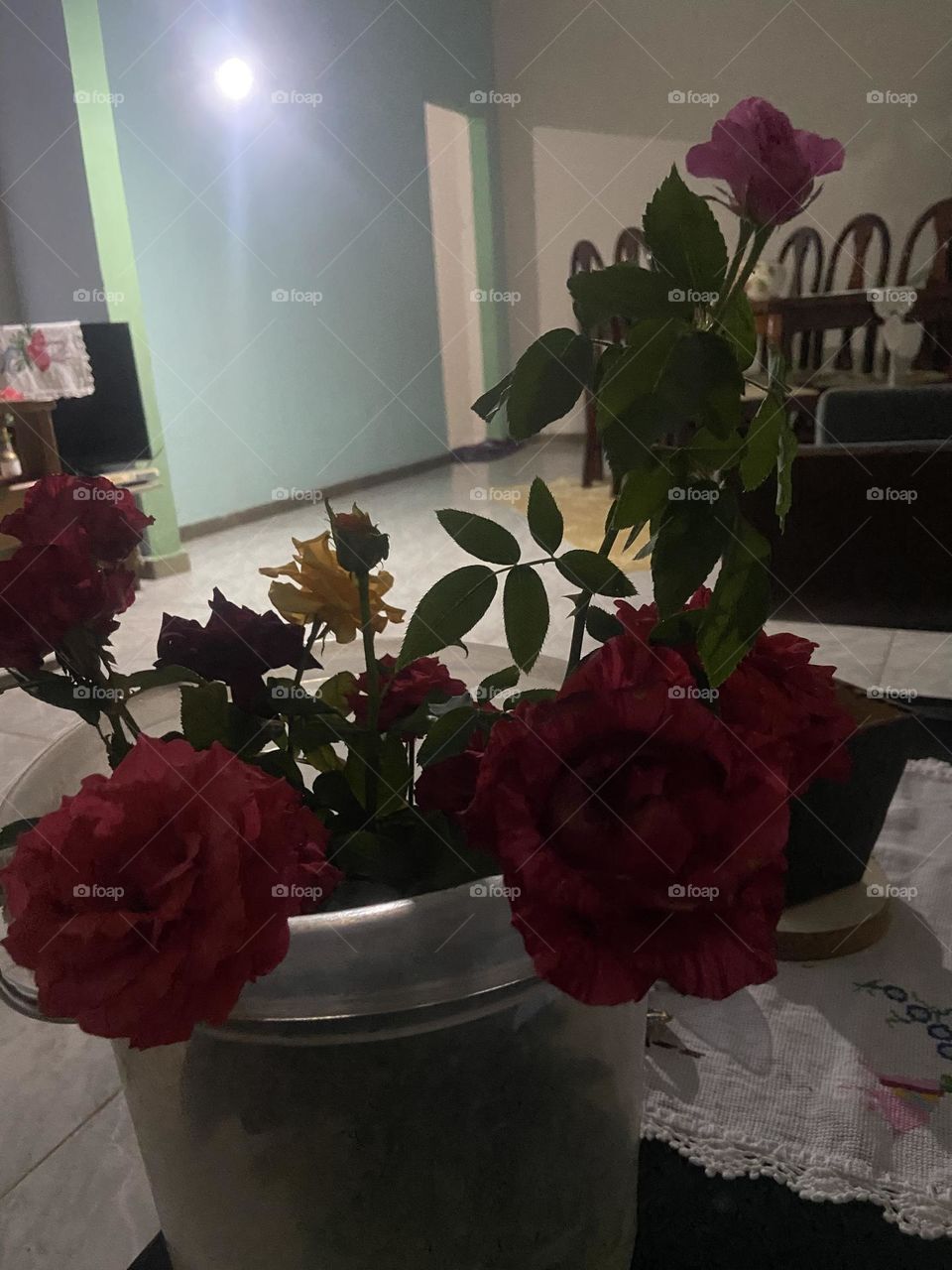 Roses