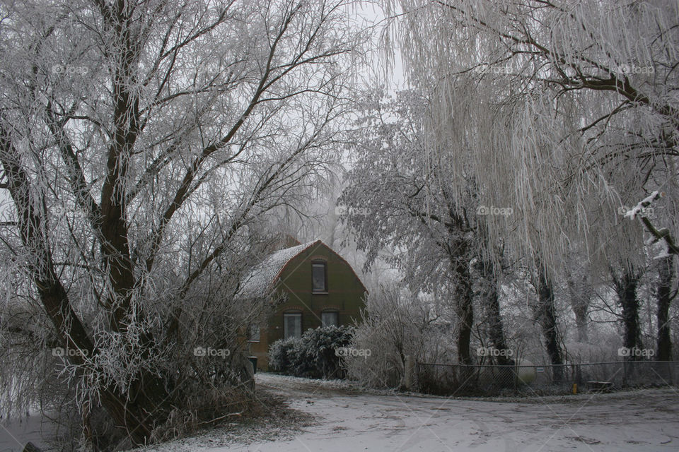 My house in the snow!