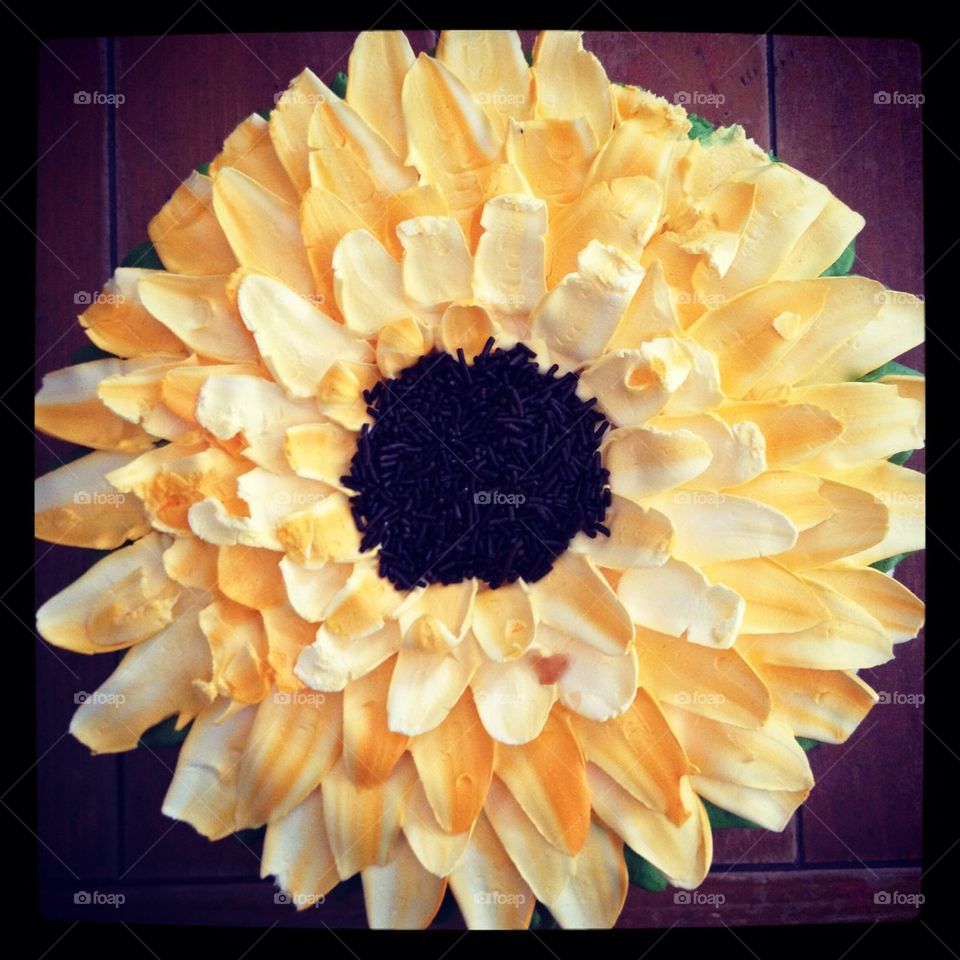 Sunflower cake