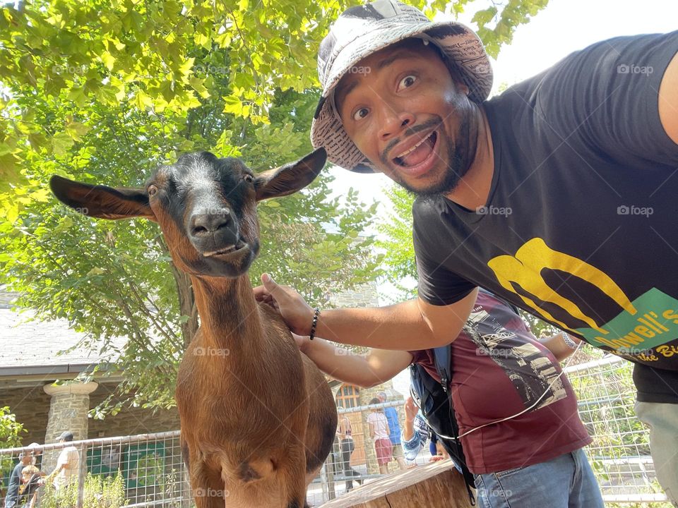 GOATS!