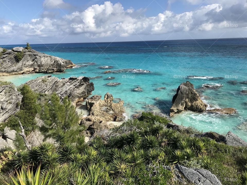 Rugged Bermuda Coastline
