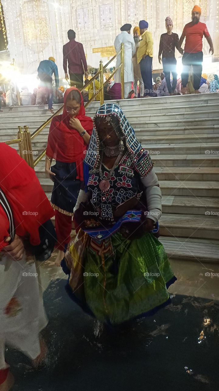 complementary colors are bold colors