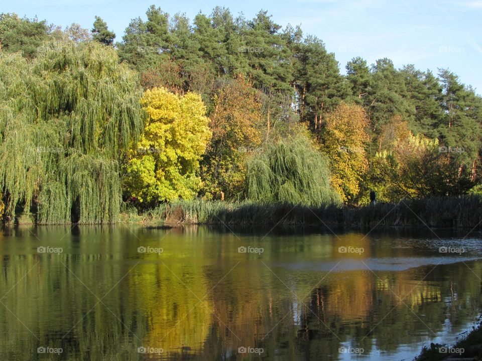 Lake in the city park