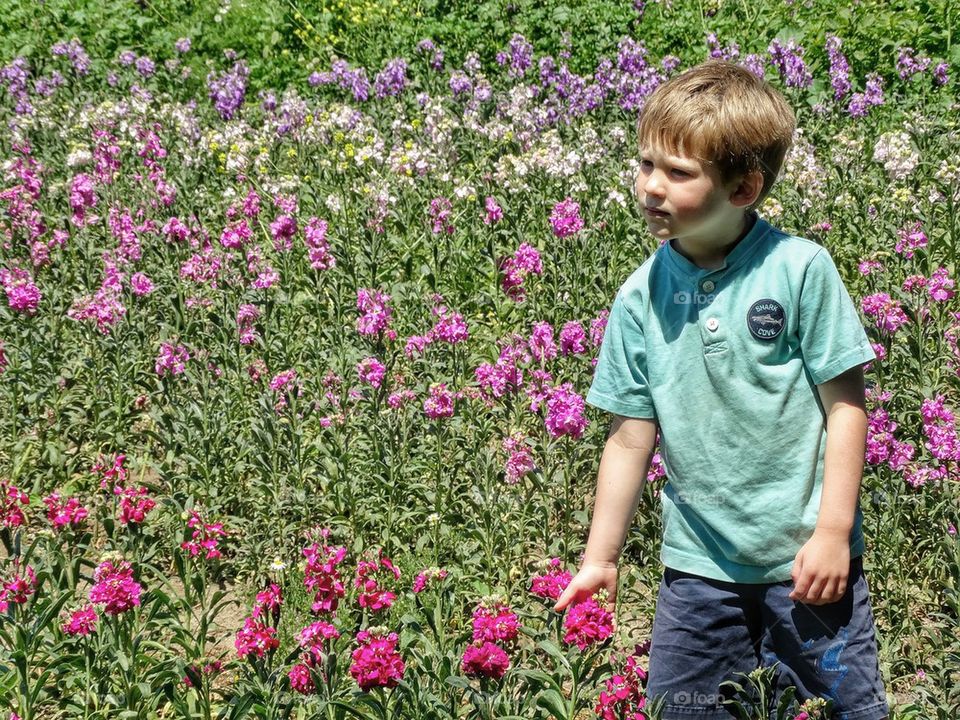 Boy in Field of Wildflowers