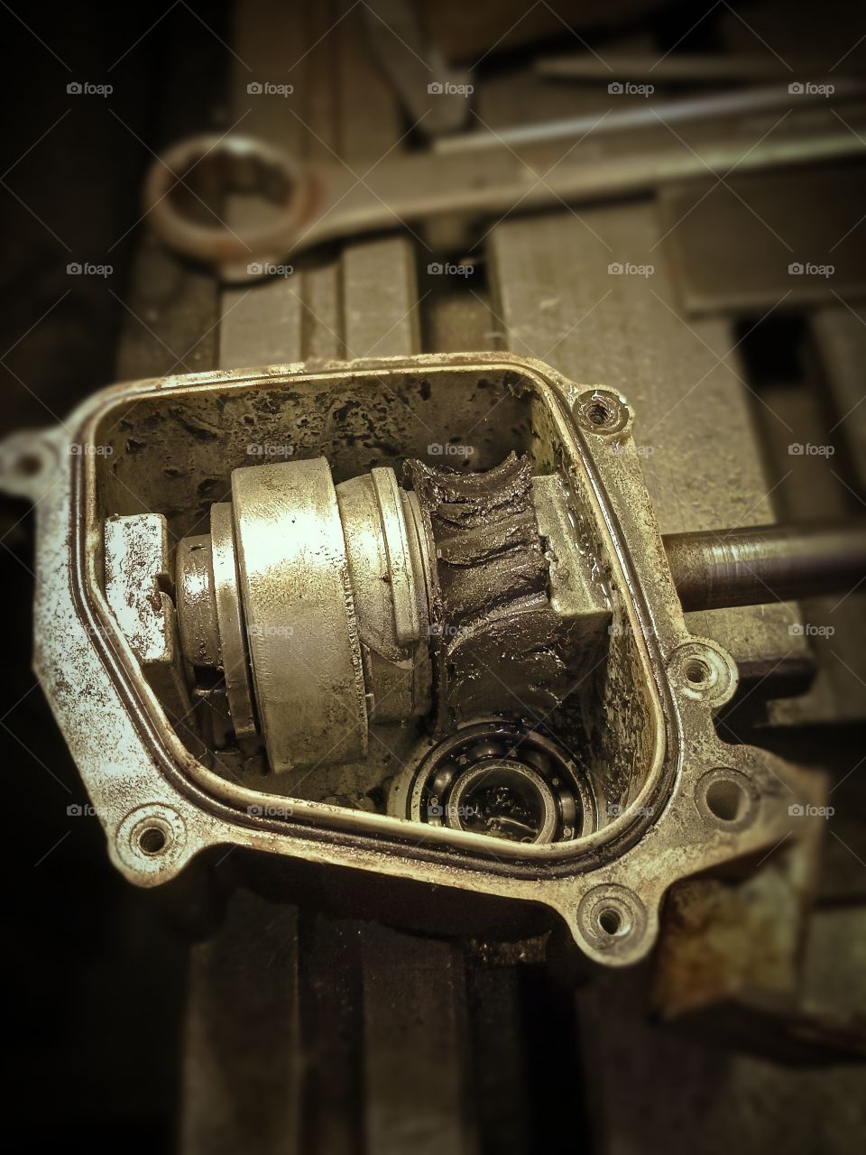 Gearbox clutch.