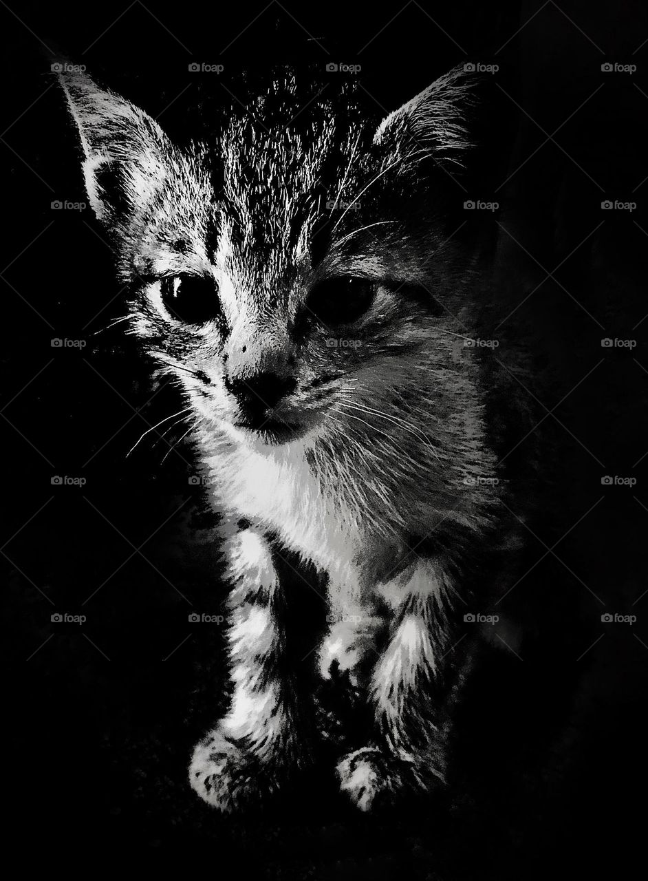 “I’ll catch that little thing over there.”