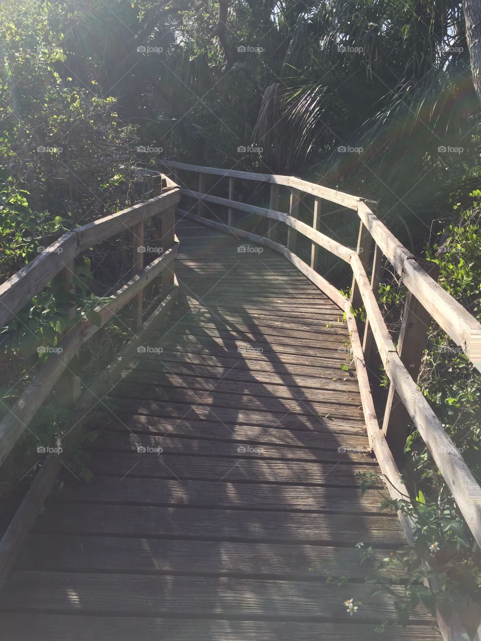 Wood, Step, Bridge, Water, Boardwalk