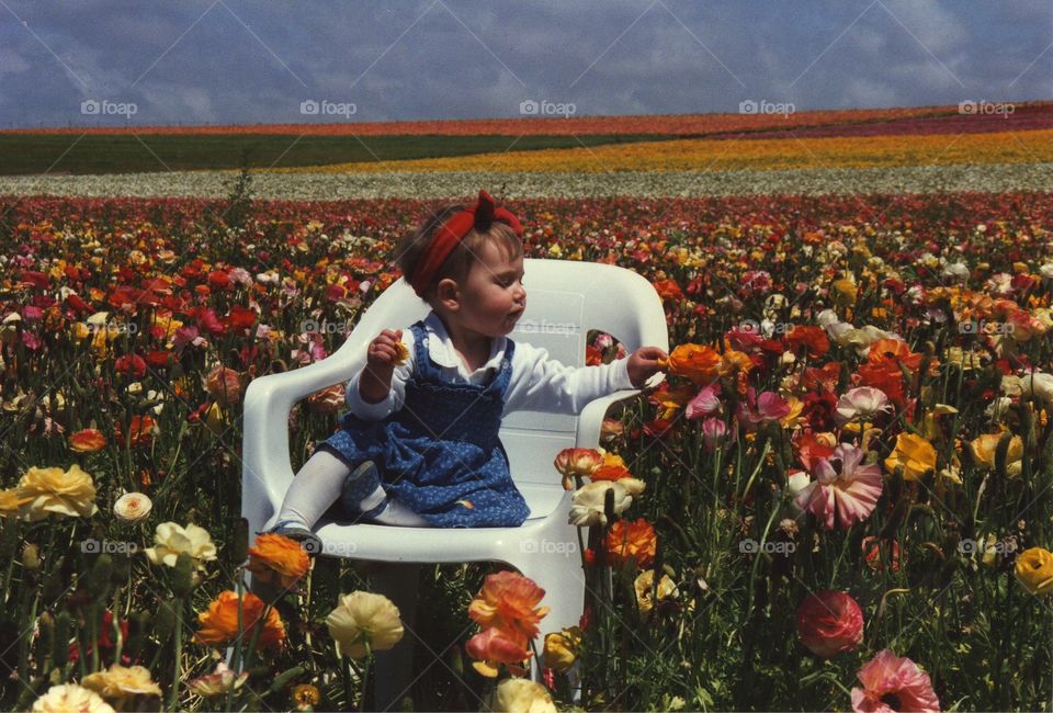 A child picking flowers near a field covered with colorful flowers.
