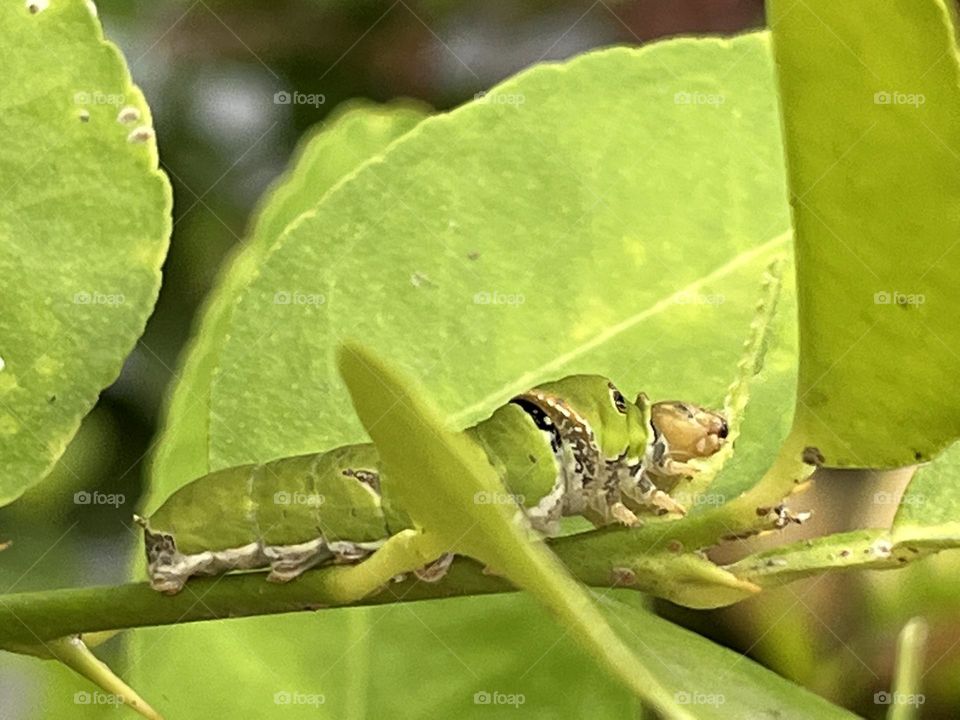 Editors ‘ choice - Photo of the Week.