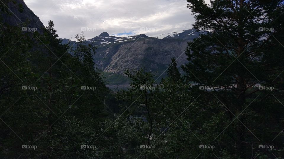 Landscape, Tree, No Person, Mountain, Outdoors