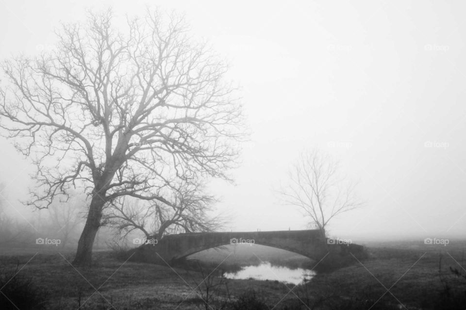 Black and White photo of an old bridge in Arkansas that is no longer used. Taken on a cold, foggy winter morning.