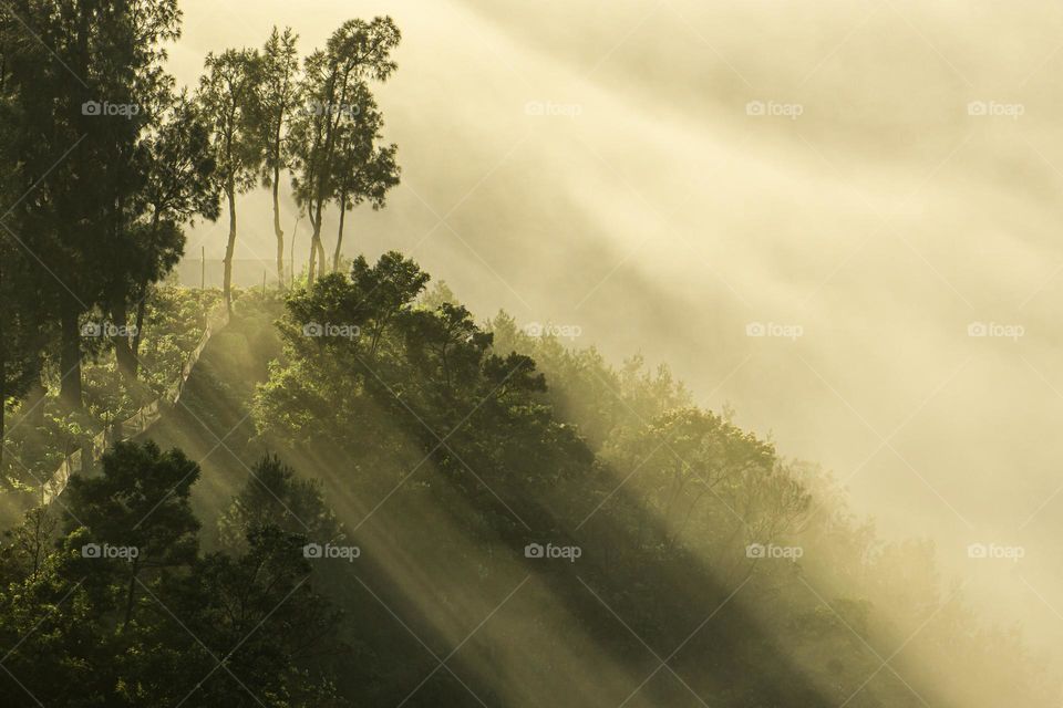 in the morning at Bromo Mount while still covered in fog