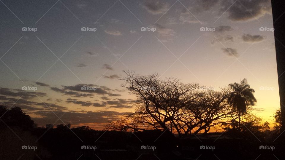 Sunset, Tree, Landscape, Silhouette, No Person