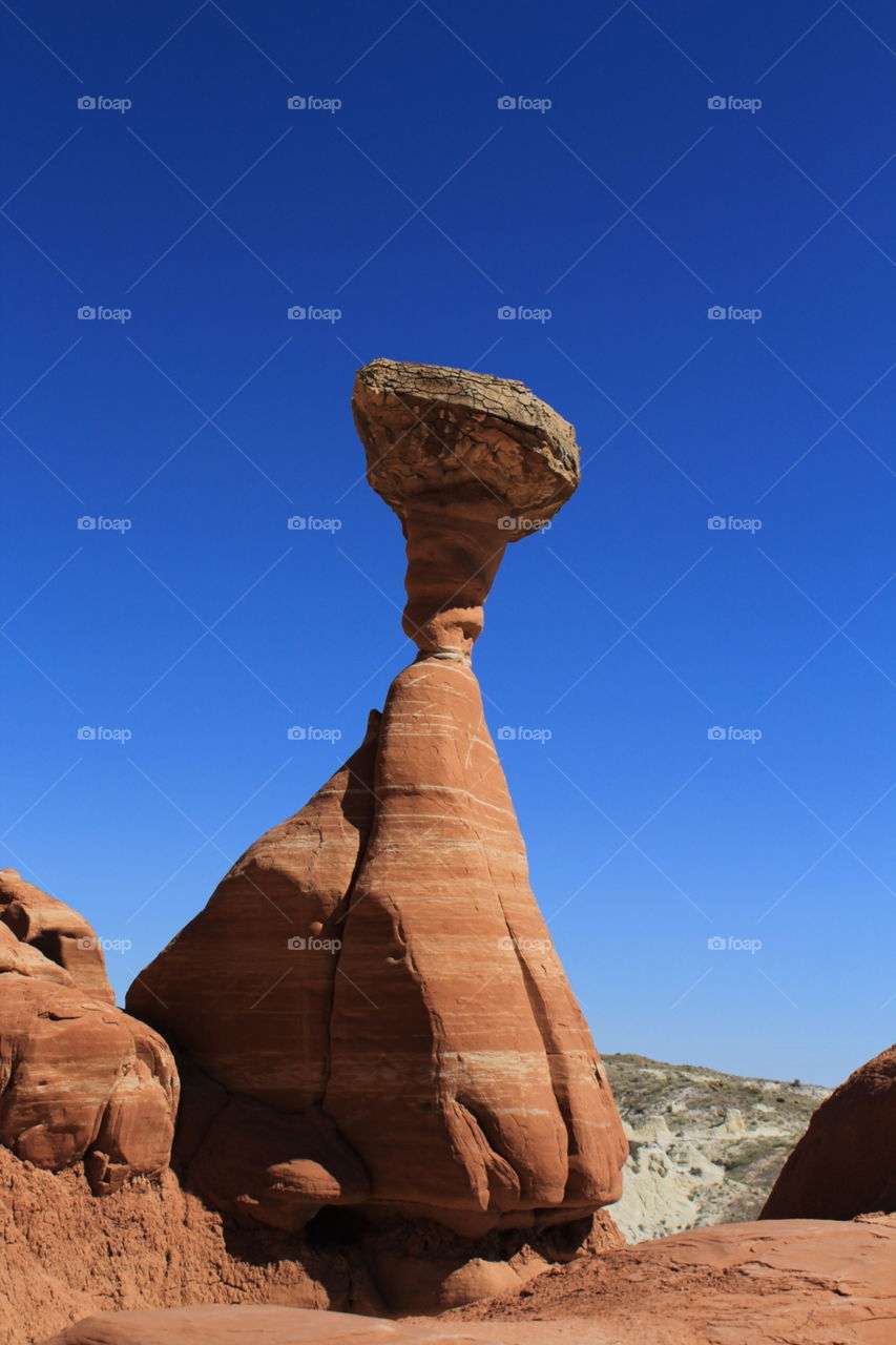 Toadstool in the Grand Staircase Escalante National Monument, which is one of the National Monuments Trump plans on reducing in size by nearly half. 