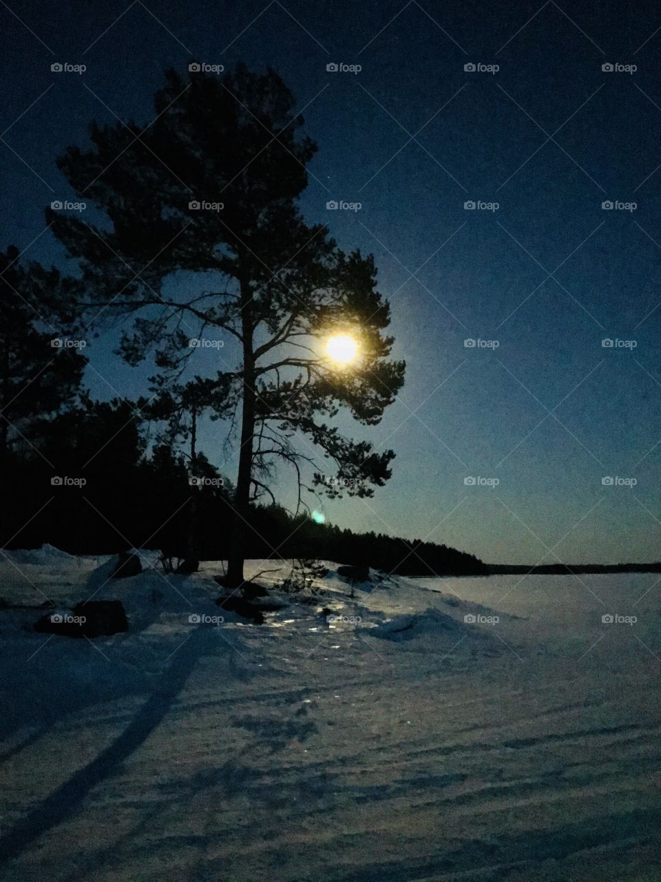 Moonlight on a winters night 