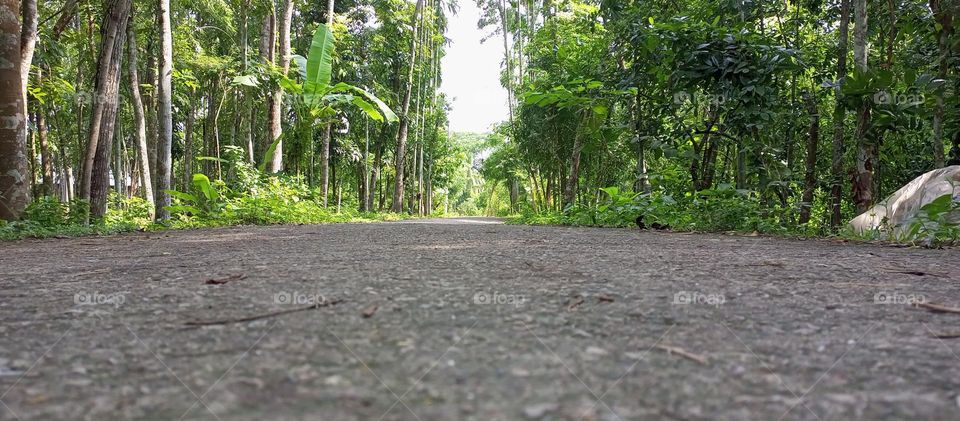 Road